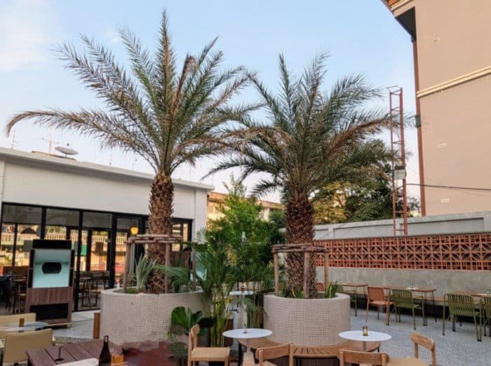 two palms trees at Two Palms Taproom in Bangkok Thailand
