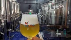 picture of beer at 12 Plato for Brewing Trends & Untrendy Beers