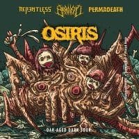 Osiris Dark aged sour collaboration beer  by Brainfill and repentless